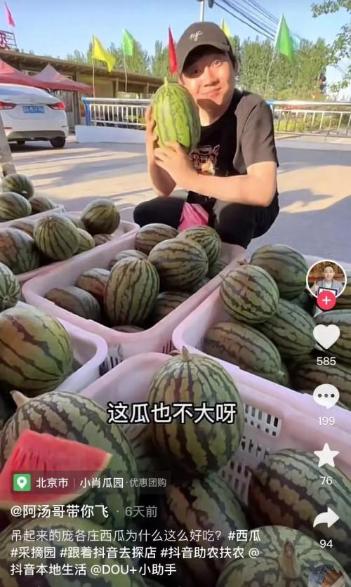 抖音康县网红吃瓜,抖音美食之旅